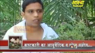 श्वास रोग अस्थमा व कफ Asthma Cough में कण्टकारी का आयुर्वेदिक लाभ  Acharya Balkrishna [upl. by Urial]