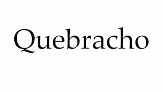 How to Pronounce Quebracho [upl. by Ainatnas]