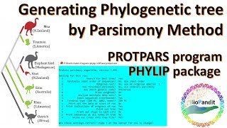 Constructing Phylogenetic Tree by Parsimony Method from Protein Sequences [upl. by Karlik]