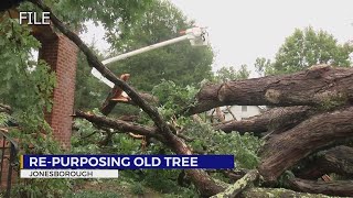 Jonesborough leaders working to decide fate of old tree’s remains [upl. by Bedelia]