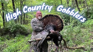 High Country Gobblers [upl. by Pansie]