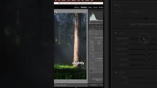 Do THIS in Lightroom to Make Your Photos POP [upl. by Eenimod509]