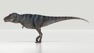 Tyrannosaurus rex Trix walking animation [upl. by Airreis]