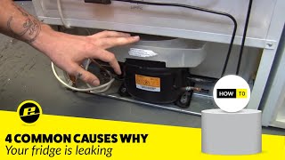 How to Fix a Leaking Fridge 4 Possible Ways [upl. by Lehcin]