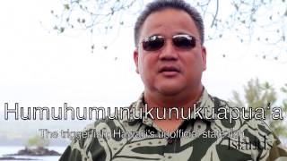 How To Speak Hawaiian [upl. by Elysha]