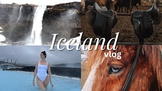 come to Iceland with me riding Icelandic horses blue lagoon waterfalls girl chat and more [upl. by Nerol696]