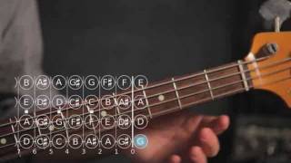 How to Play a D Note  Bass Guitar [upl. by Ahsenauj]