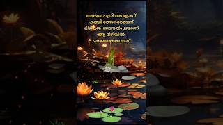 akame poothi avalan  ആ മിഴിയിൽ ഞാനൊരജബാണ് 💕   song malayalam  music sajeer koppam [upl. by Wiburg98]