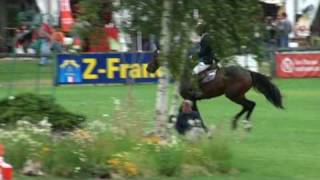 ♂ Qlipper du Banco jumping stallion SF by Loutano [upl. by Trueblood]