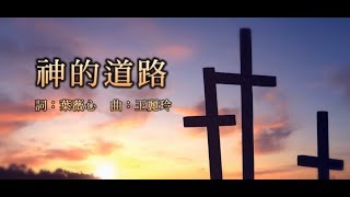 【每一天我需要祢 I Need You】現場敬拜MV Live Worship MV  讚美之泉敬拜讚美 21 [upl. by Hawley306]