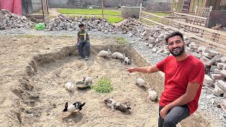 Ham Yahan Pr Bht Piara Rabbits House Bnwa Rhy Hain😍 [upl. by Svensen392]