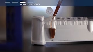 How to purify circulating cellfree DNA cfDNA [upl. by Atnohsal]