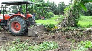 Land Clearing For Farming Purpose [upl. by Dav]