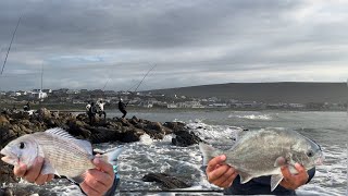 Fishing in Cape AgulhasStruisbaai MUSSELCRACKERGALJOEN [upl. by Marcos]