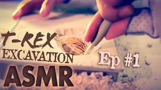 ASMR TRex Excavation ⛏️EP1 😴NO TALKING for SLEEP [upl. by Ivo]