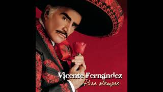 Vicente Fernández  La Derrota [upl. by Nnaeirelav]