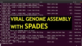 Viral genome assembly with spades [upl. by Marsland423]