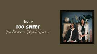 Too Sweet  Hozier  The Macarons Project Cover [upl. by Bertilla]