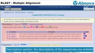 BLAST  Multiple Alignment [upl. by Safier]