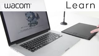 Mapping Your Monitors and Orientation for Wacom Intuos Pro [upl. by Eiramannod]