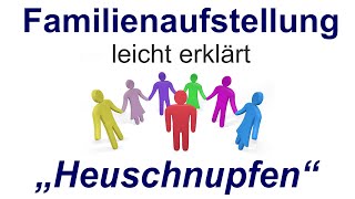 Familienaufstellung einfach erklärt quotHeuschnupfenquot [upl. by Inaej]