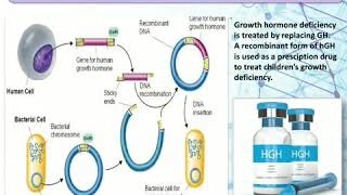 Human growth hormone Somatostatin production using Recombinant DNA Technology method [upl. by Silverstein]