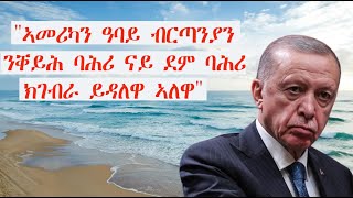 Mestyat Betna  quotኣመሪካን ዓባይ ብርጣንያን ንቐይሕ ባሕሪ ናይ ደም ባሕሪ ክገብራ ይዳለዋ ኣለዋquot መራሒ ቱርኪ ኤርዶጋን [upl. by Benildis]