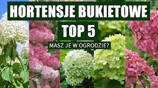 Top 5 Hortensji Bukietowych do ogrodu Koniecznie musisz je mieć w ogrodzie [upl. by Romola455]