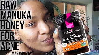 MANUKA HONEY MASK FOR ACNE  MASKMONDAY [upl. by Annahsal]