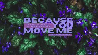 Tinlicker amp Helsloot  Because You Move Me SUNDAI REMIX [upl. by Arnelle]