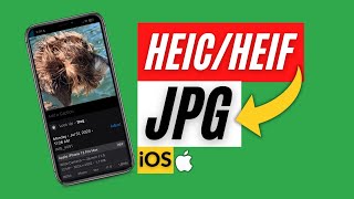 How To Convert HEIC to JPG on iPhone [upl. by Anaele]