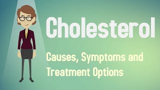 Cholesterol  Causes Symptoms and Treatment Options [upl. by Ev]