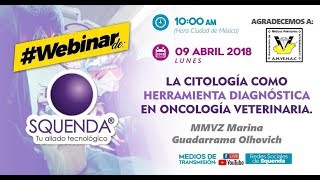 La Citología Como Herramienta Diagnóstica en Oncología Veterinaria  MMVZ Marina Guadarrama Olhovich [upl. by Castra]