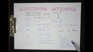 HIPOTENSIÓN ORTOSTÁTICA definición fisiopatología tratamiento [upl. by Melc]