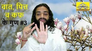 3 Basic Features of Three Doshas in Ayurveda  About Vaata Pitta amp Kapha by Nityanandam Shree [upl. by Maurreen]