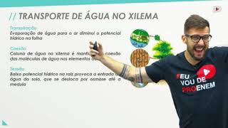 Água sais minerais e vitaminas I Biologia I Prof Bruno Pires [upl. by Marylin]