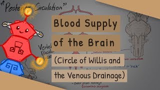 Blood Supply of the Brain Circle of Willis and the Venous Drainage [upl. by Ynner27]