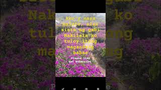 Andrew E  Banyo Queen lyrics shorts viralvideo [upl. by Annaiel50]