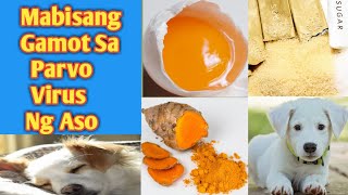 MABISANG GAMOT SA PARVO VIRUS NG ASO  HOME REMEDY  HOW TO TREAT PARVO IN DOG [upl. by Nadnerb]