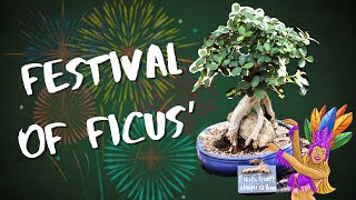 Bonsai Ficus Festival at Babylonstoren [upl. by Ahsikram]