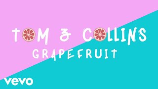 Tom amp Collins  Grapefruit Lyric Video ft Carla Monroe [upl. by Markland784]