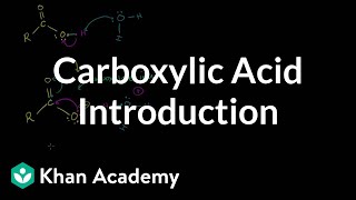 Carboxylic acid introduction  Carboxylic acids and derivatives  Organic chemistry  Khan Academy [upl. by Ynaittirb982]