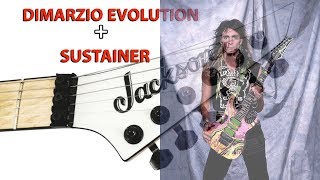 Dimarzio Pick up  Sustainer [upl. by Wivinah155]