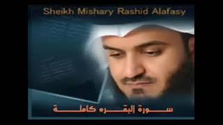 سورة البقرة كاملة٬ مشاري العفاسي ٬ بدون اعلانات [upl. by Aehsrop661]