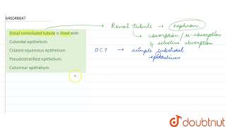 Distal convoluted tubule is lined with  12  EXCRETORY PRODUCTS AND THEIR ELIMINATION  BIOLOG [upl. by Paynter]