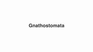 How to Pronounce quotGnathostomataquot [upl. by Namrak]