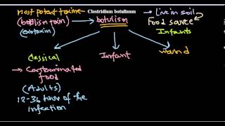 Clostridium botulinum infection [upl. by Liatrice]