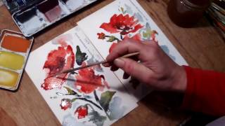 Hedwigs Art poppies watercolor papertest [upl. by Haraj]