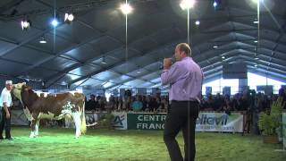 Concours National Montbéliarde 2013  Meilleure Mamelle Jeune et Championne Jeune [upl. by Clarita191]