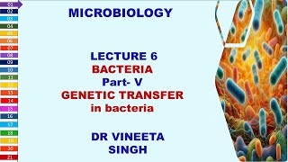 Unlocking Bacterial Secrets Conjugation Transformation and Transduction [upl. by Coltun]